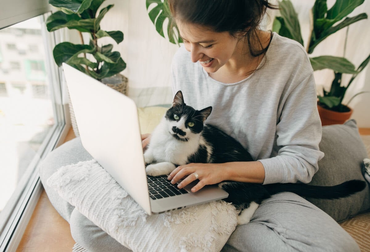 FELIWAY | February 2021 | Pawesome Co-Workers - A Kitty's Tips For Working From Home!