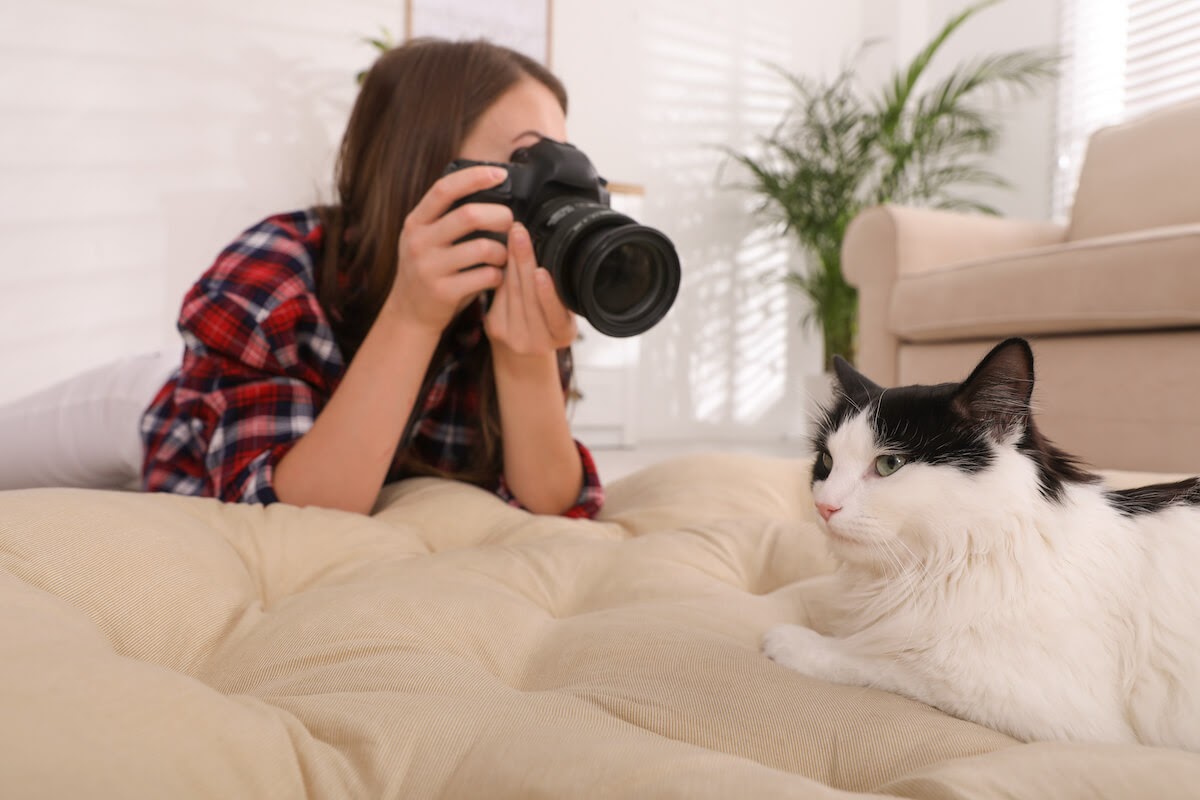 woman taking picture of a cat