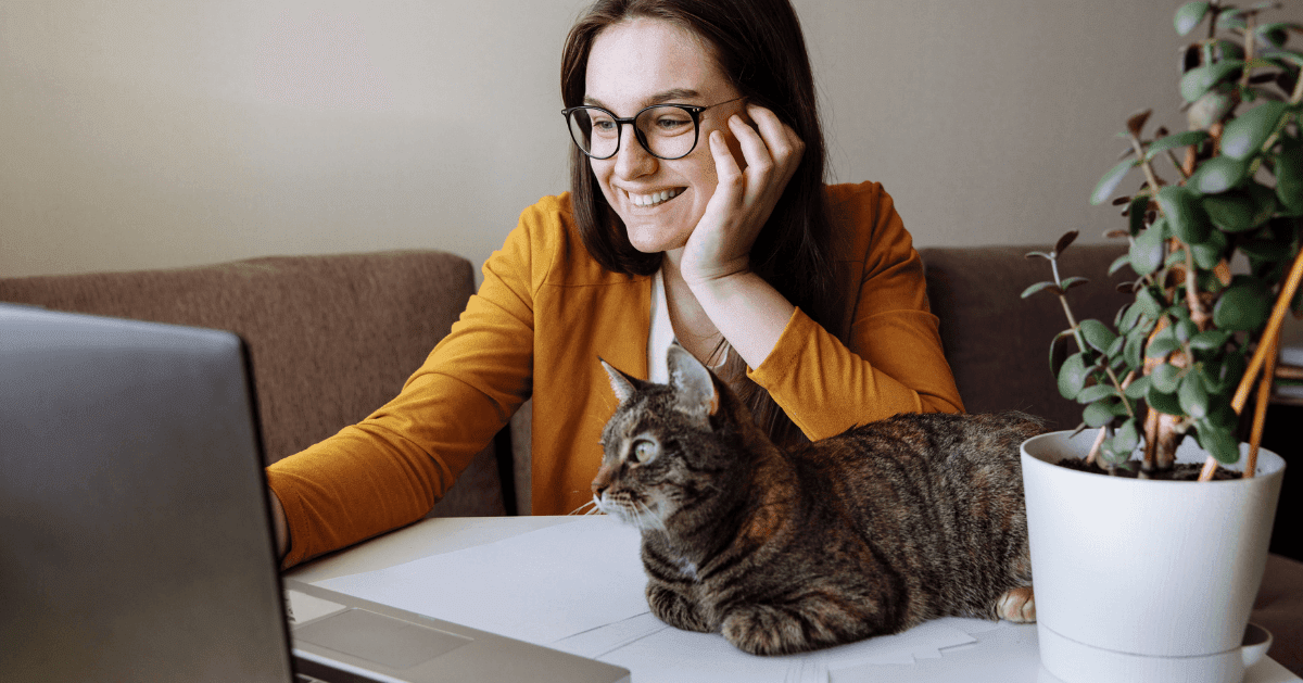 cat sat on desk with owner