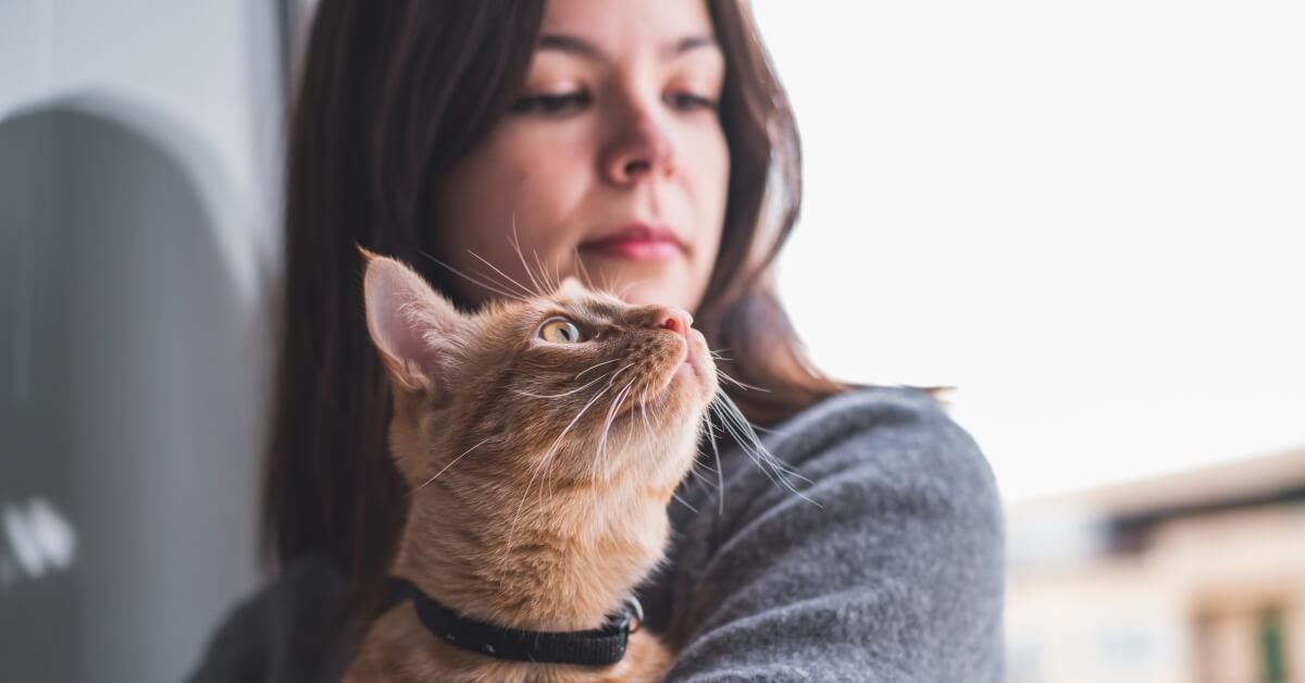 ginger cat in owners arms