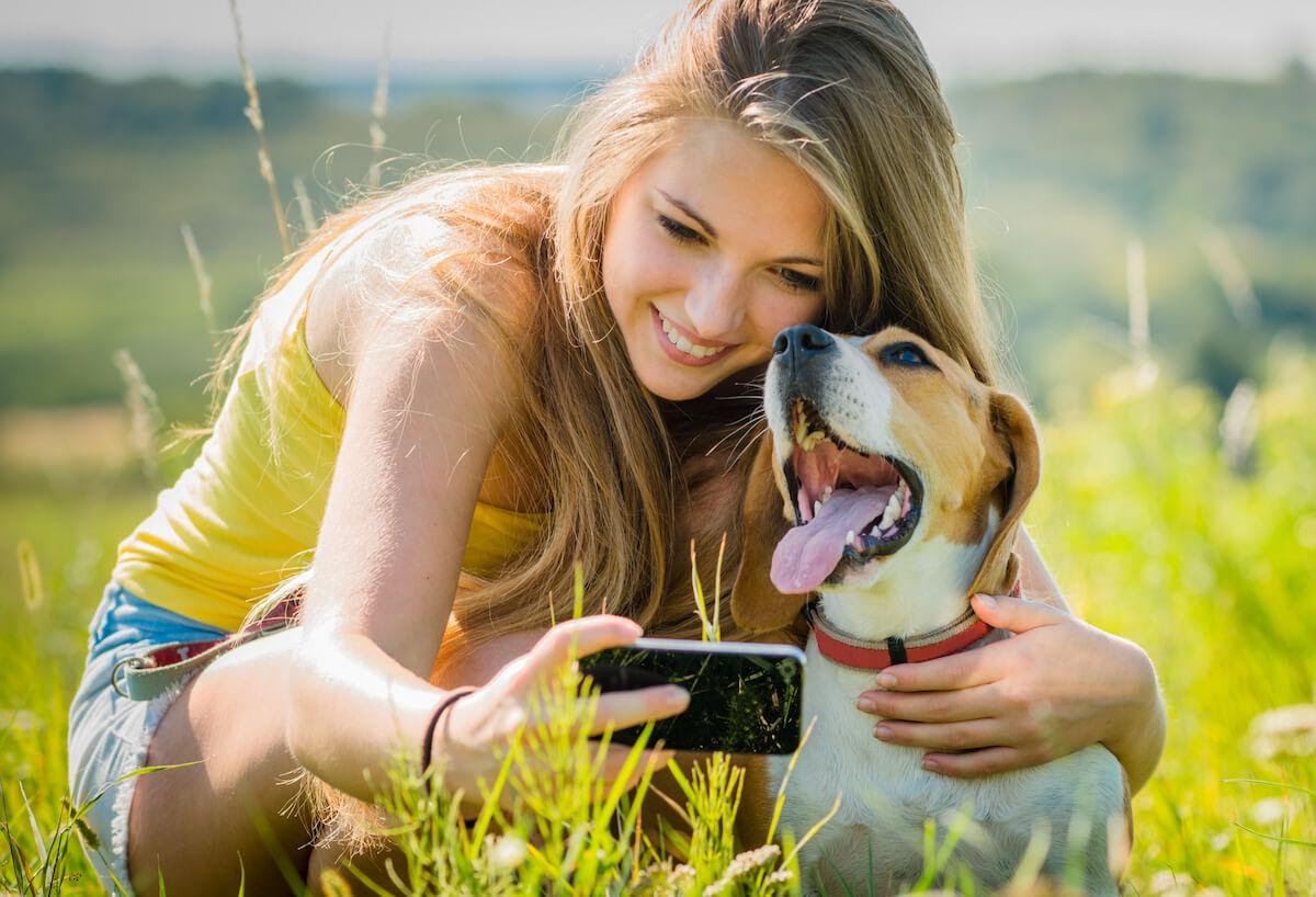 Consigli per fotografare i cani