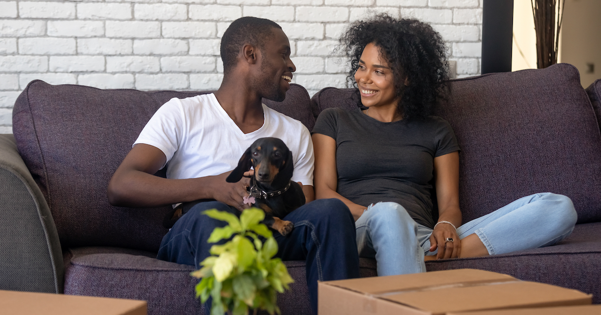 cute dog on sofa with moving boxes and owners