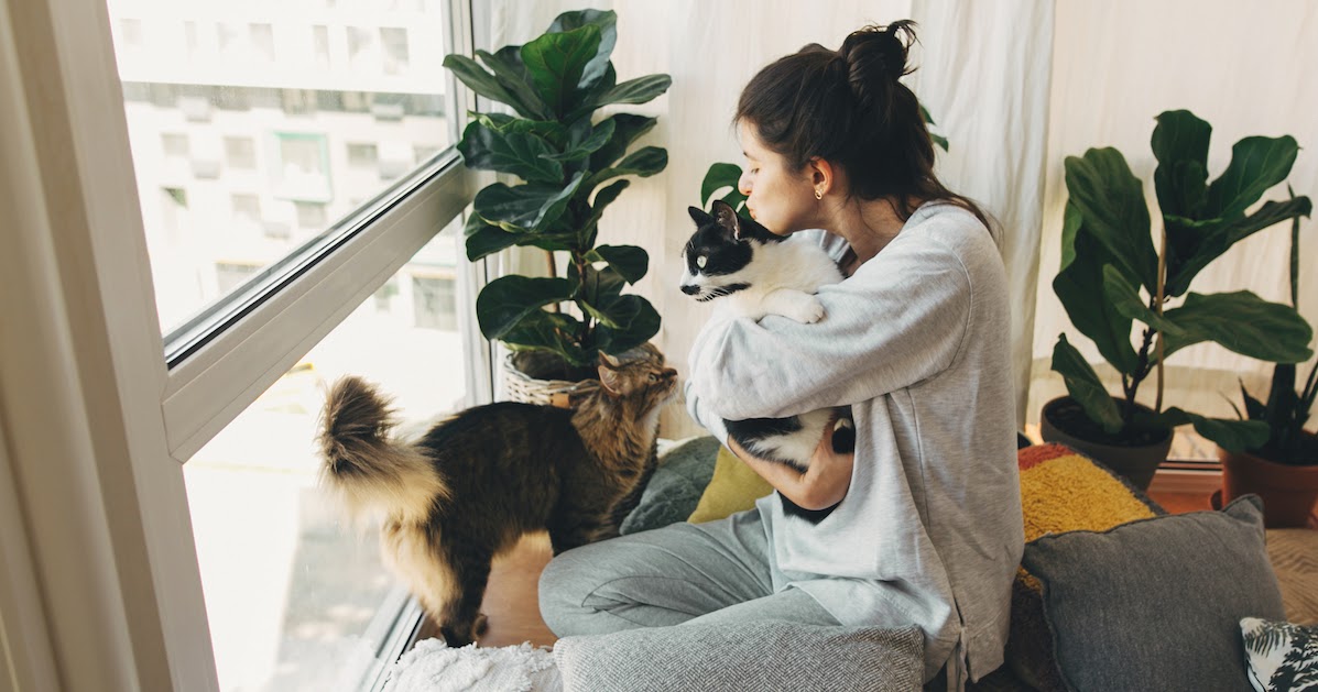 owner sitting by window with pair of cats