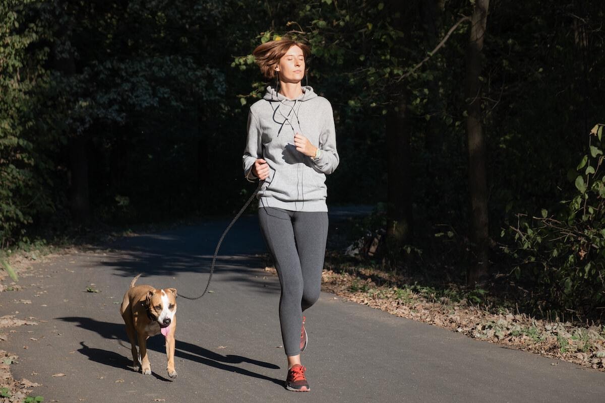 Quanto esercizio fisico deve fare il cane?