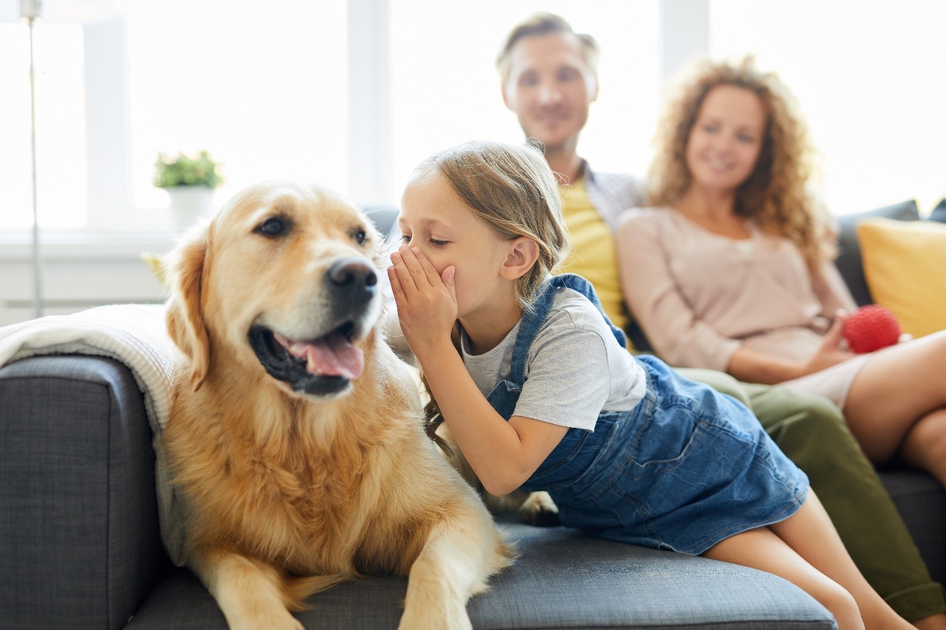 Le storie più belle sui cani