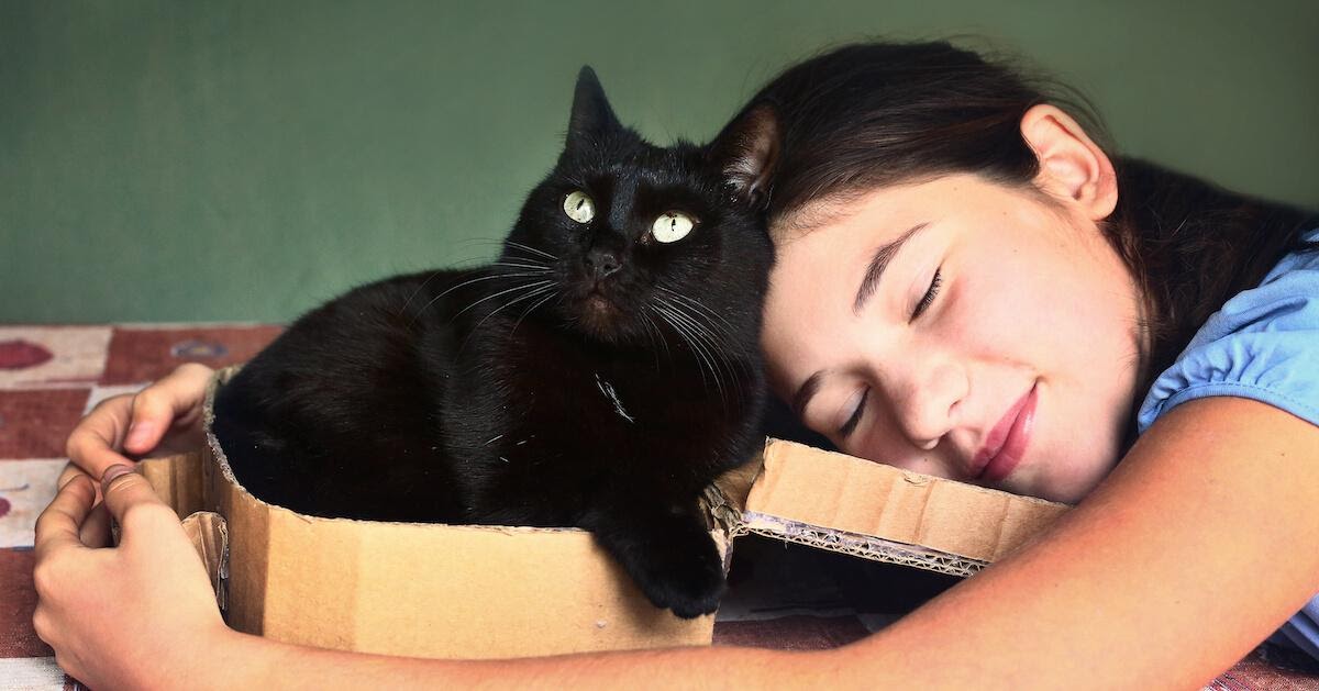 Schwarze Katze im Karton wird vom Mädchen umarmt