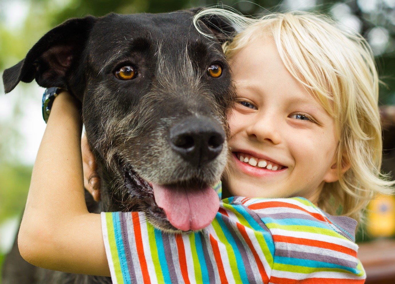 Storie entusiasmanti sui cani