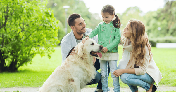 consigli per trovare una nuova casa per un cane