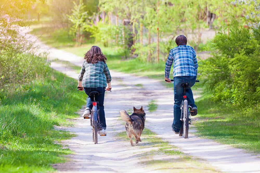 Pärchen fährt Fahrrad mit Hund