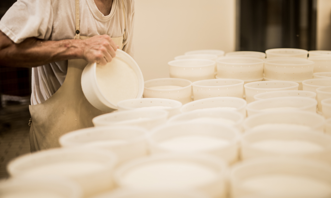 Principales zonas queseras de leche de oveja y cabra en España