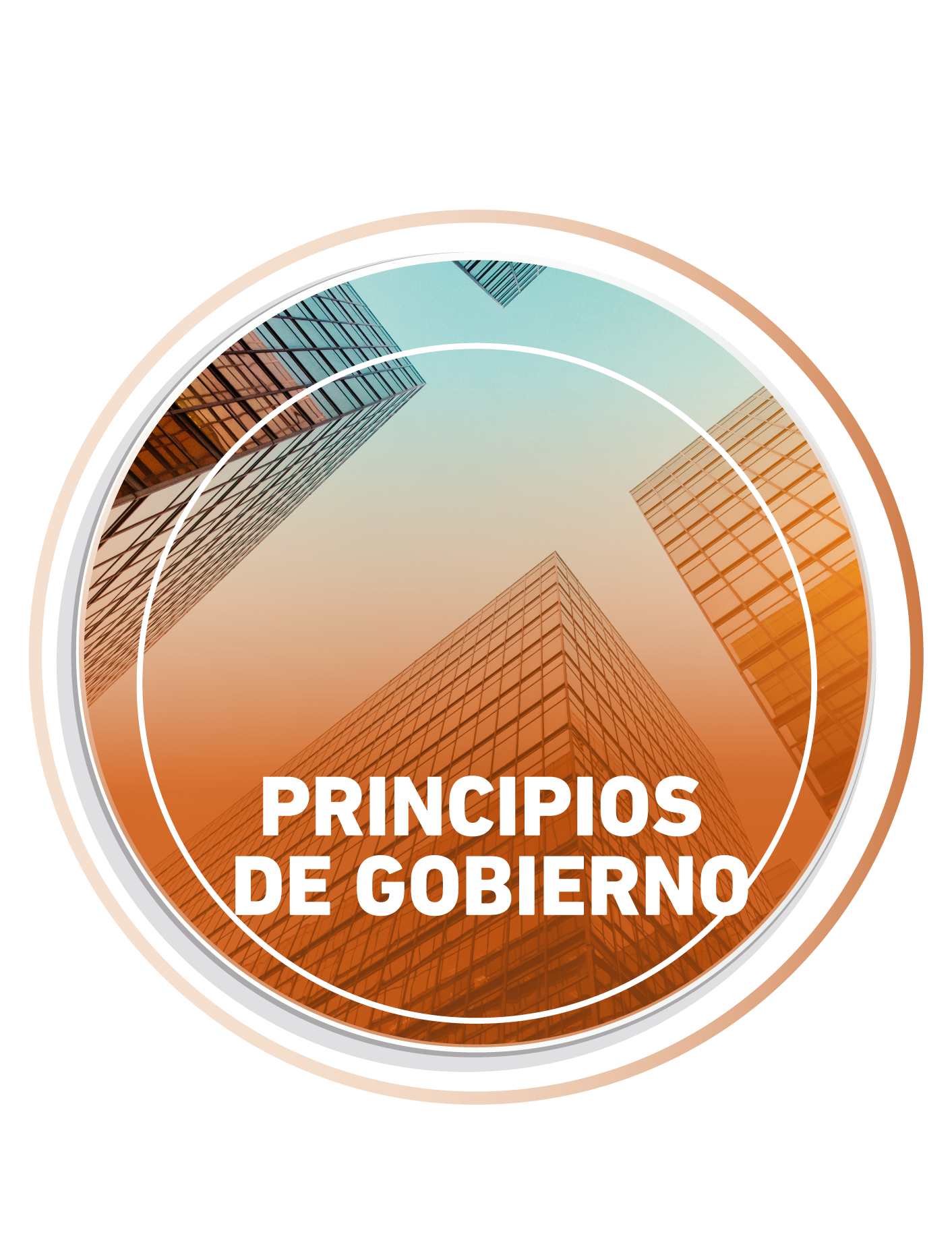 circulos_Governance-circle_Governance-circle
