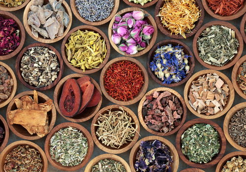 holistic-herbs-health-coach