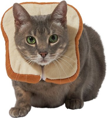 Cat Bread Costume