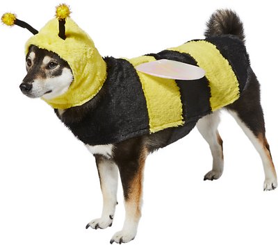 Dog Bee Costume