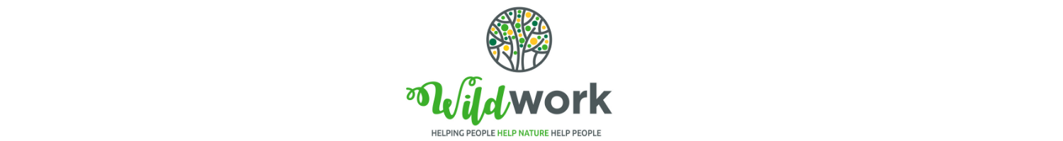 WILDWORK LOGO LR no circle test (2)