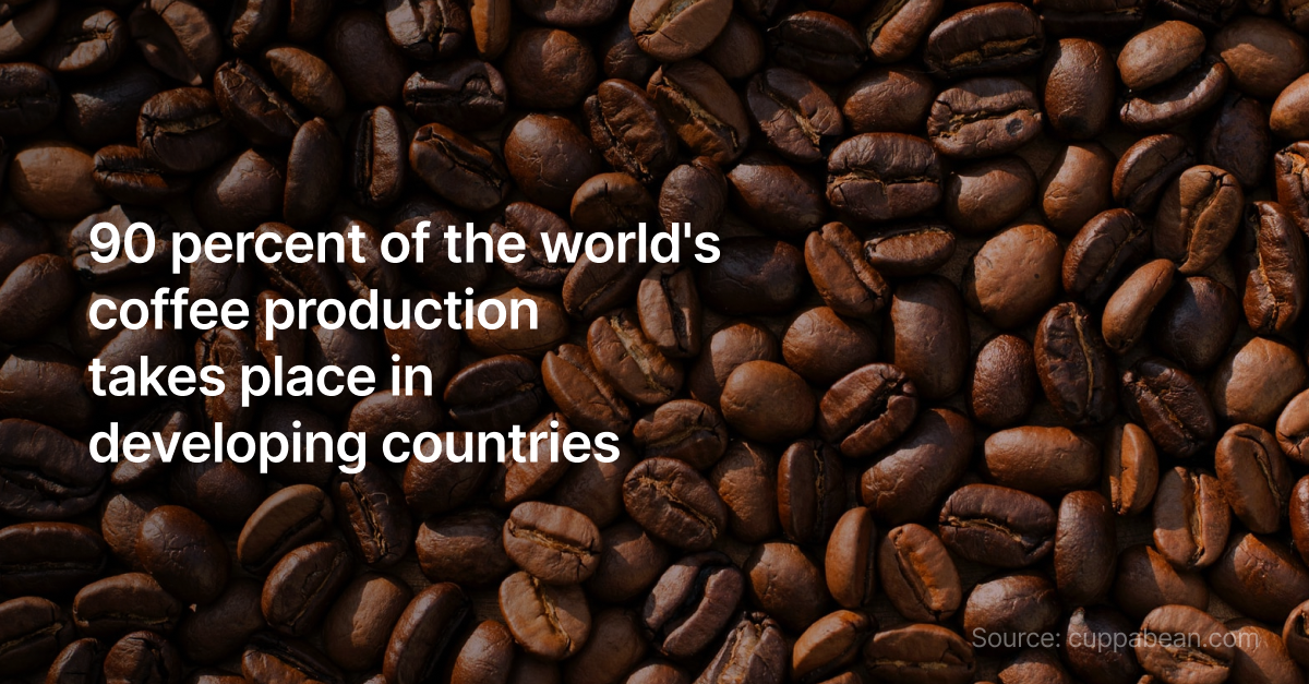 A World Without the Coffee Industry Stenn