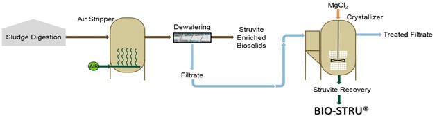 NuReSys Hybrid Graphic - Schwing Bioset