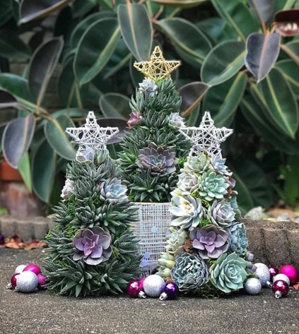 arbol 8
