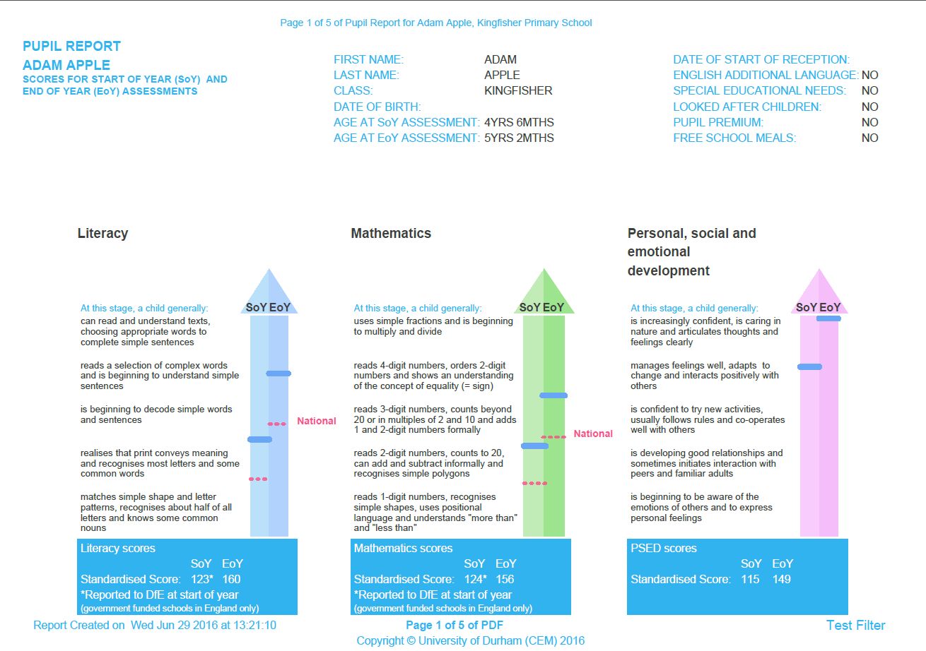 Pupil Report Examples