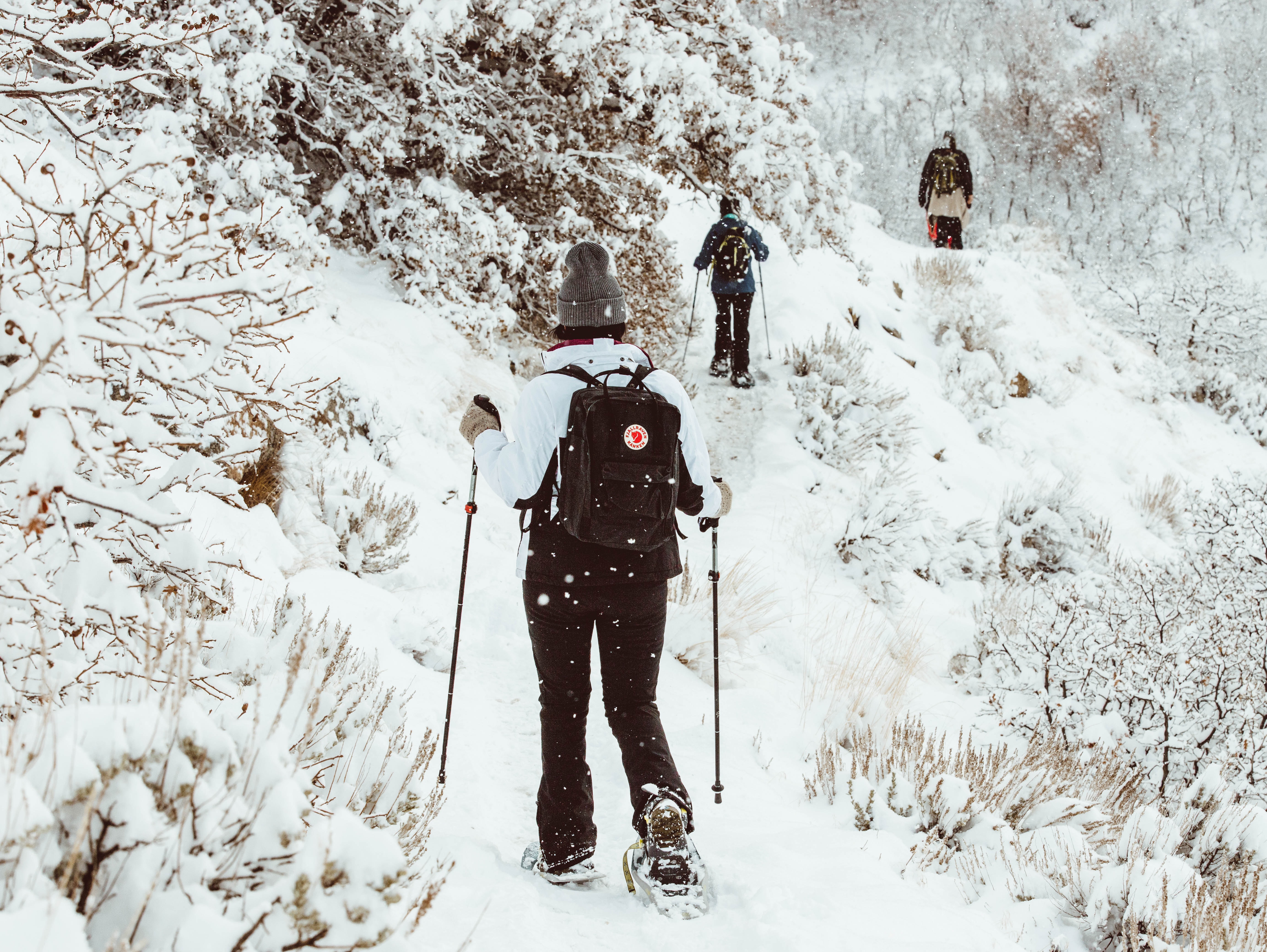 Fun Activities to Enjoy During Spring Break in Aspen