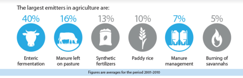 FAO.org - The Largest emitters in agriculture