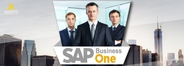 Principales características y funcionalidades del software SAP