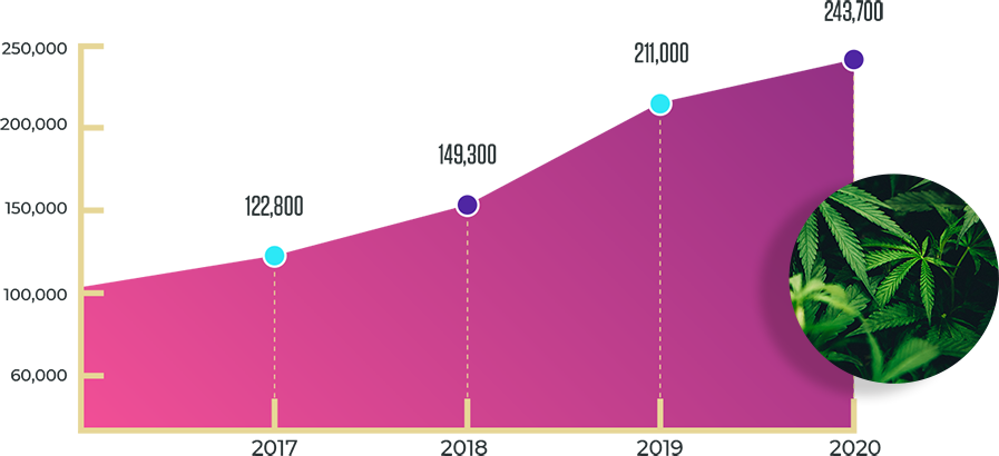 graph-cricle-combined