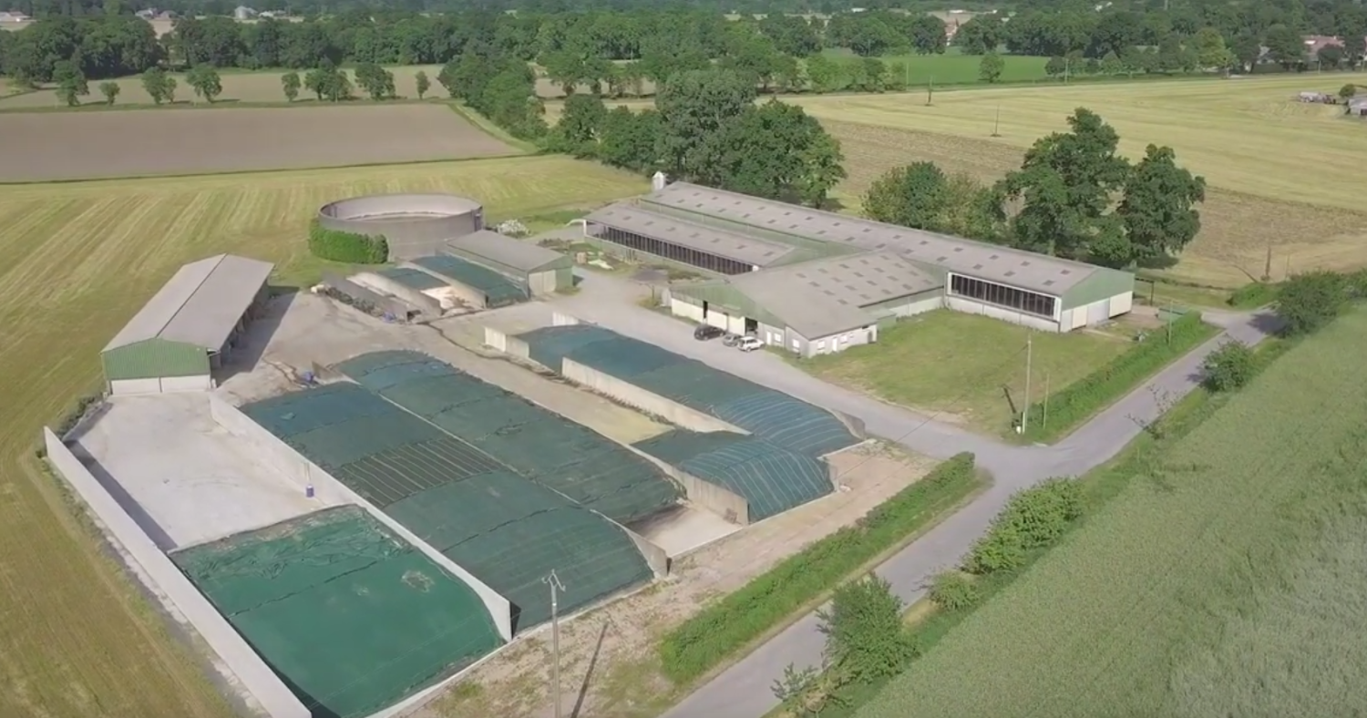 2021-02-24_20h49_51-1-1