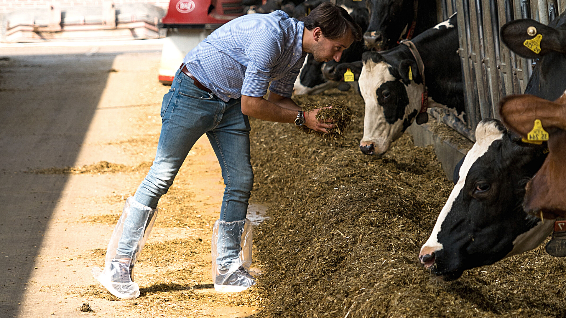 Canva Design DAErkJJm_0c