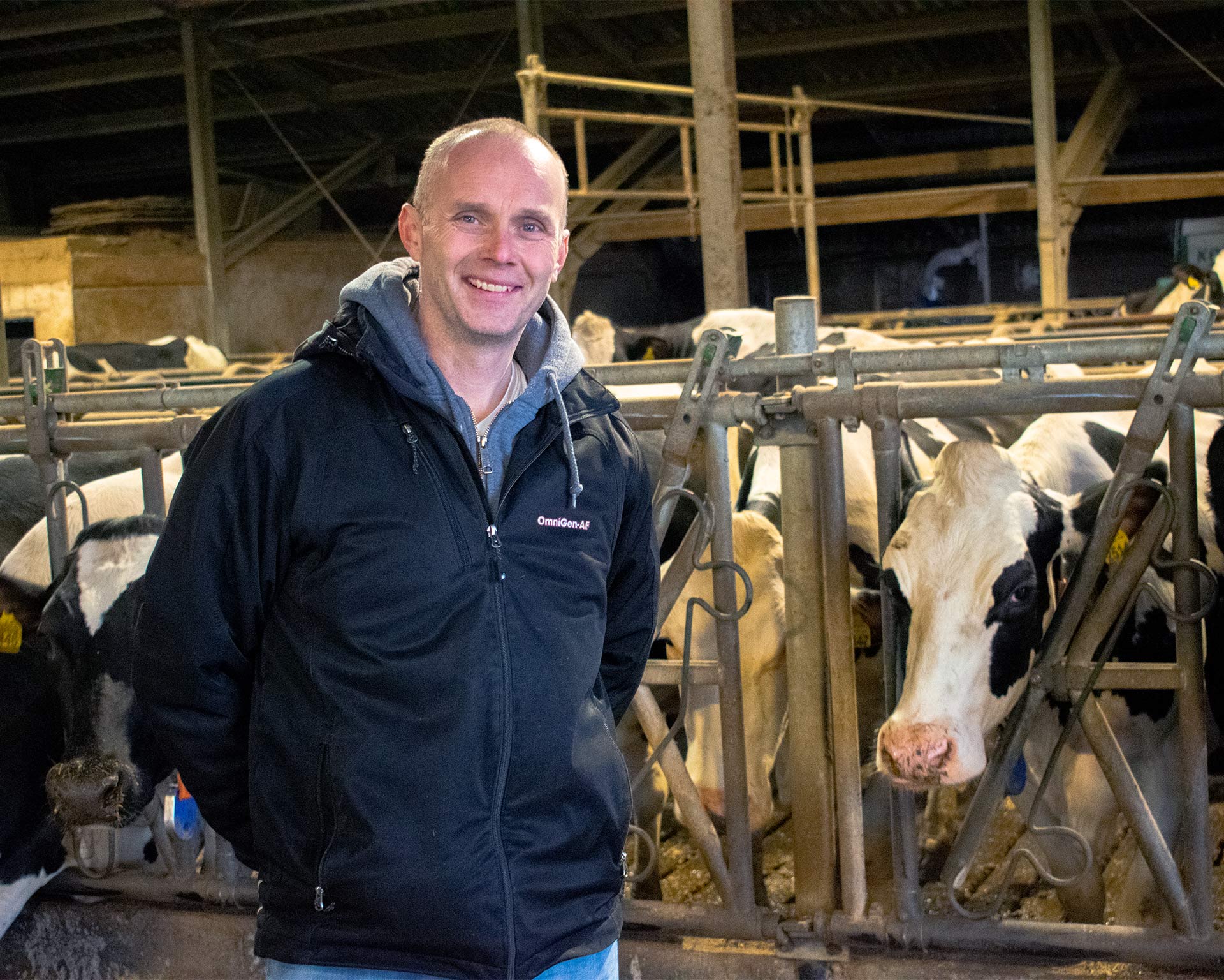 Phibro Europe farmer in cow stable