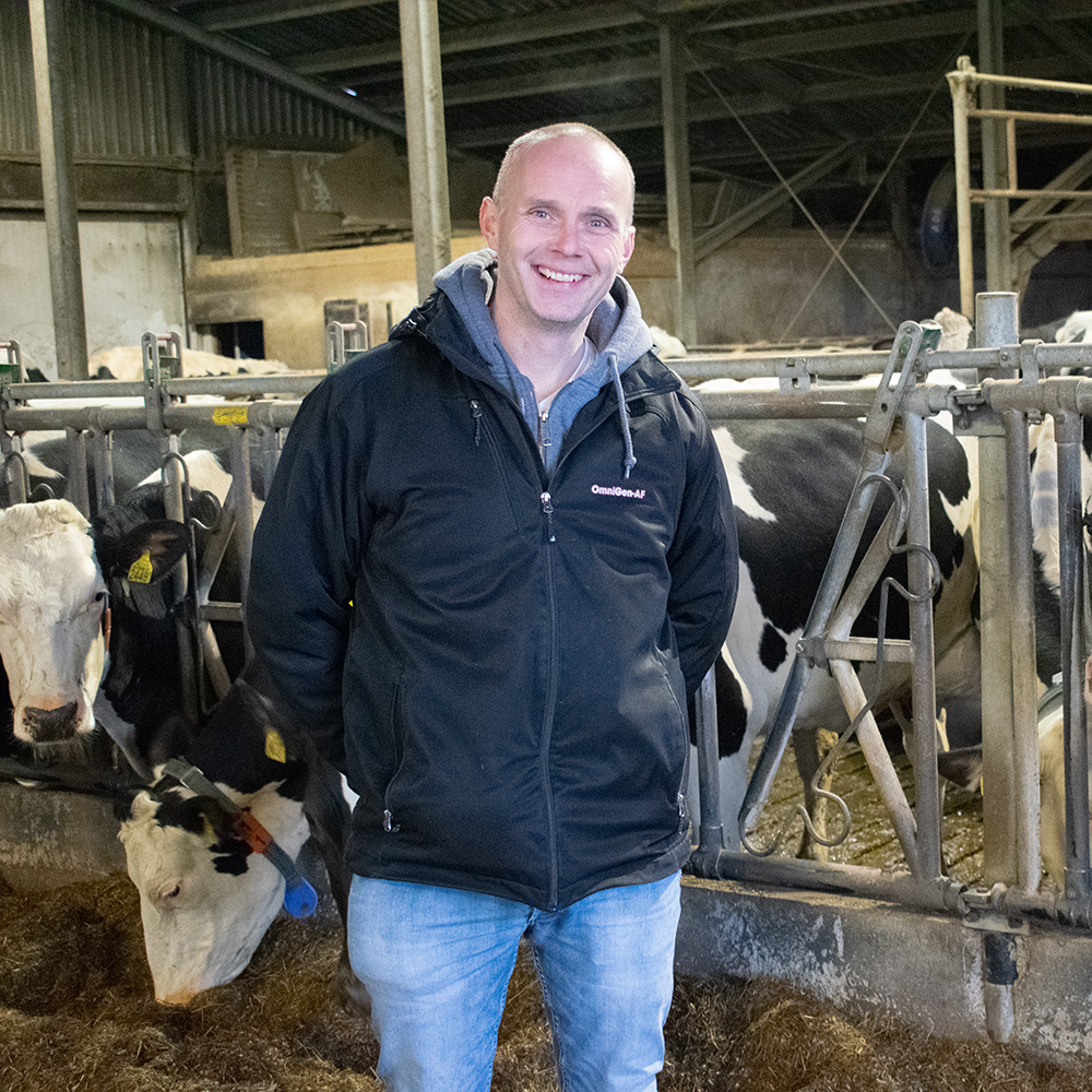 Fresh cows: Milk fever – Dairy