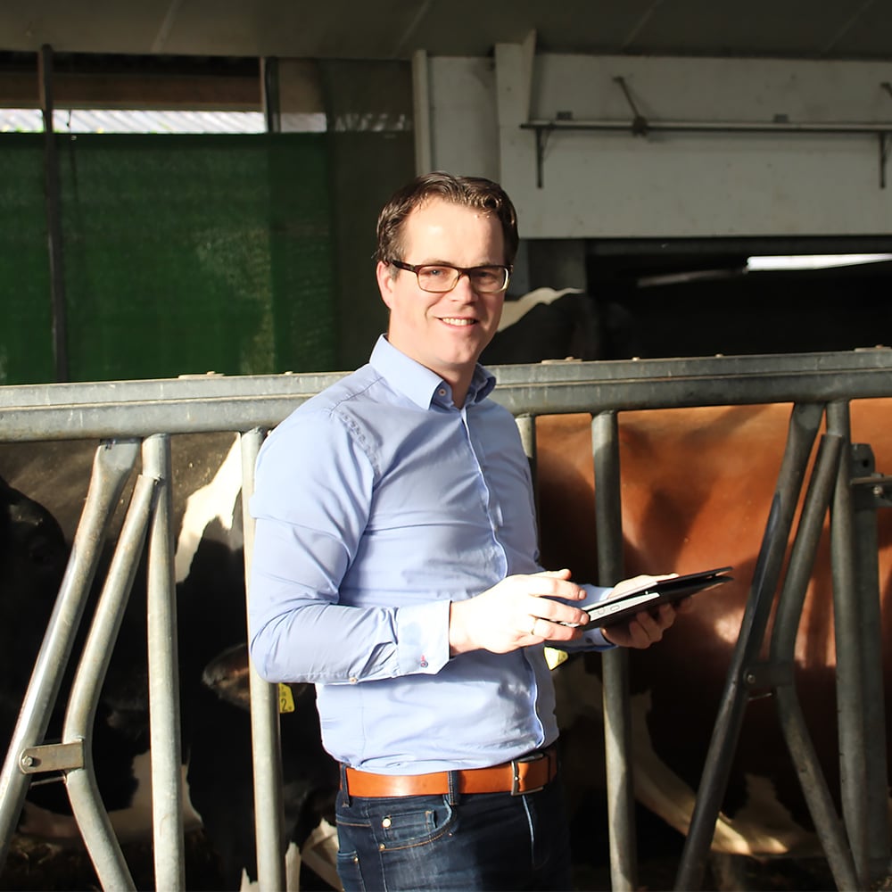 Henco Splinter van Phibro geeft advies over calciumstofwisseling bij melkkoeien