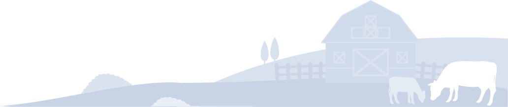 Background-Illustration_1