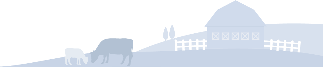 Background-Illustration_2