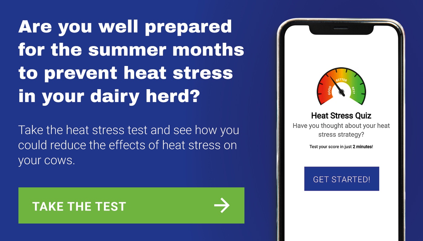 heat stress test