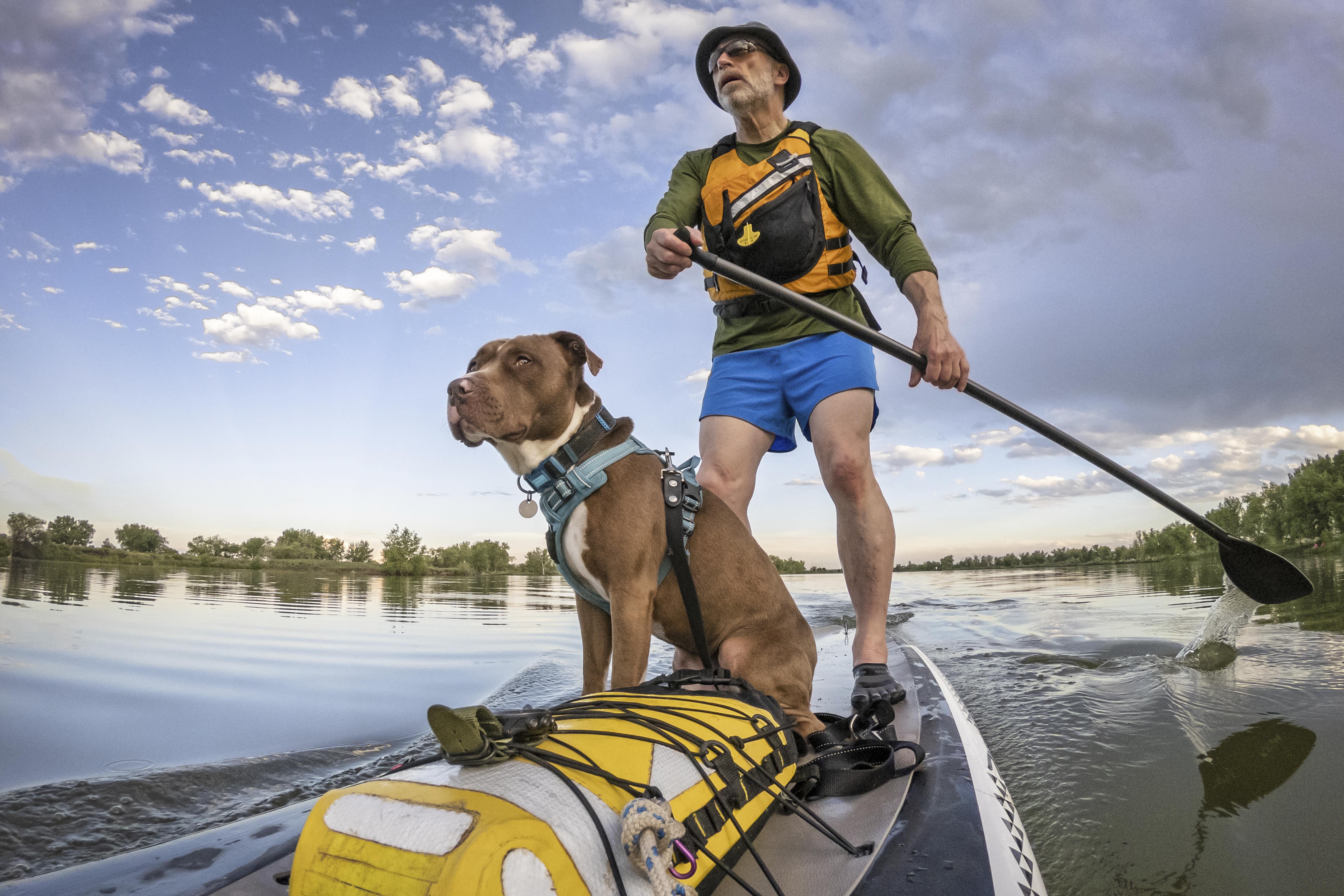 man paddle boarding with dog