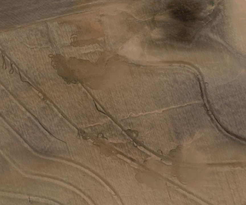 promovideo_inspectiongif_20201217