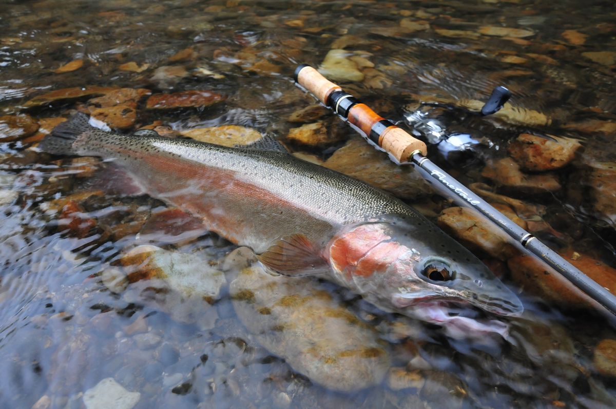 North Angler's TV 第41回「岸際に潜むニジマスをルアーで誘う