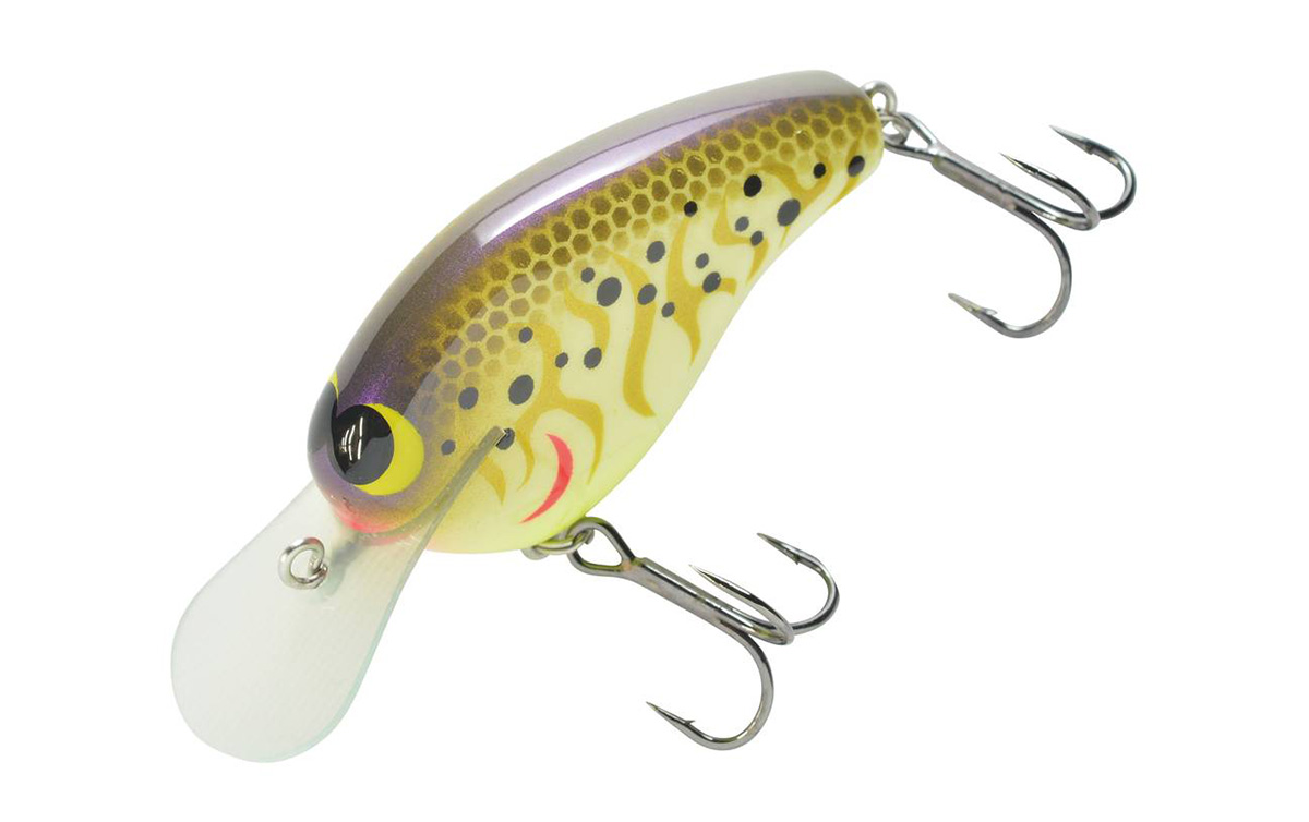 エキスパートが選ぶ冬の巻き物 :第1回 | Basser