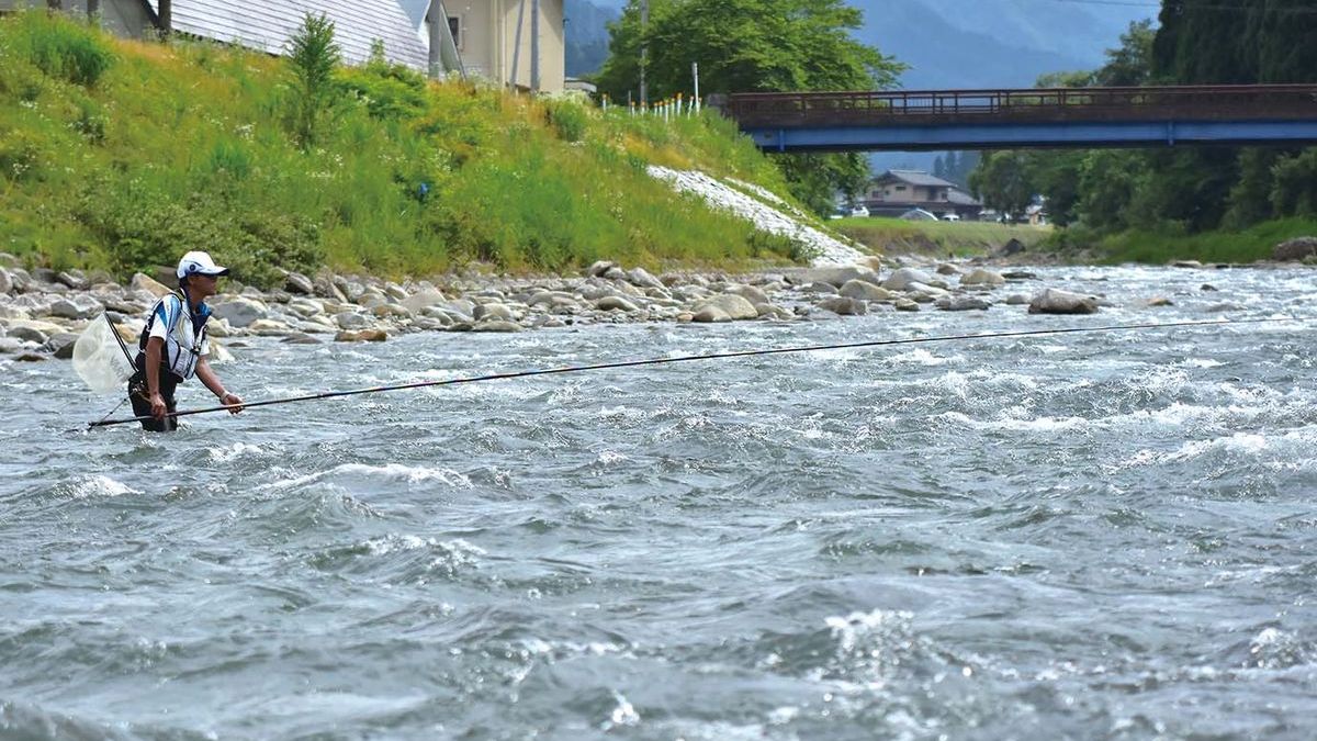 岐阜県高山市 川上川のアユ釣り 全国おすすめ釣り場