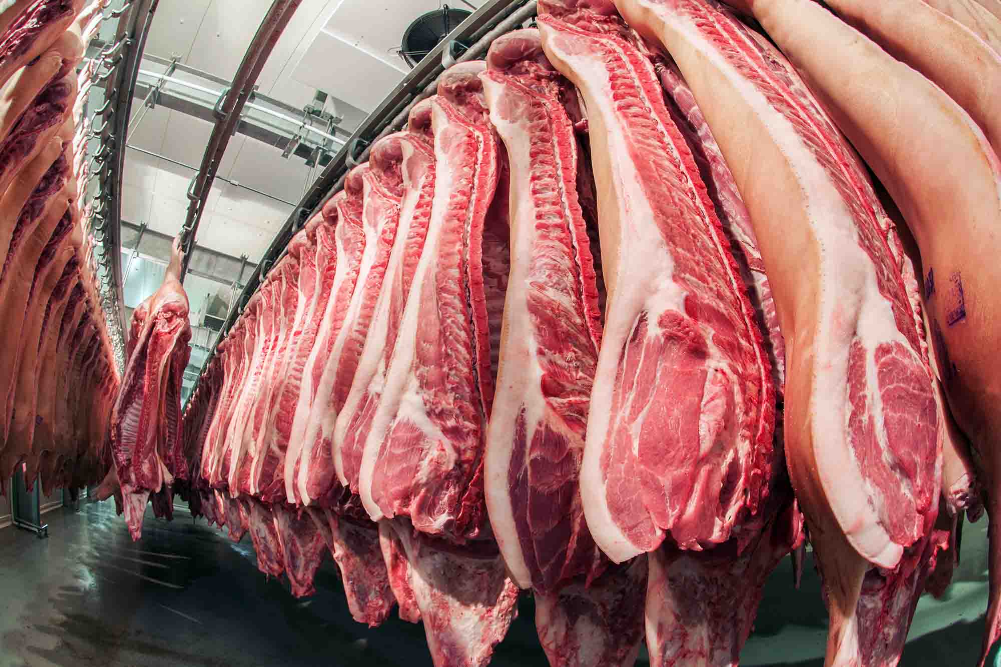 Carcass Tracking meat processing manufacturing software