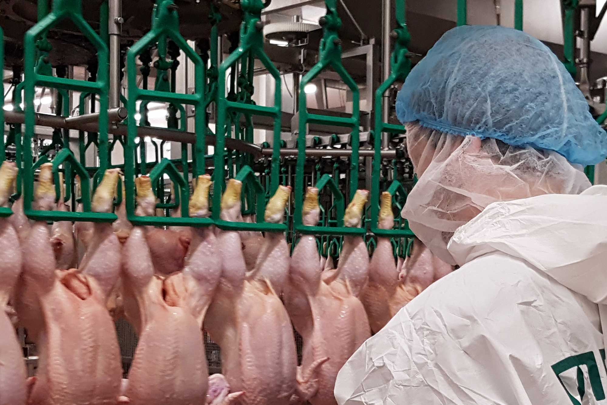 Poultry Inspection-Disposition Data Collection Software