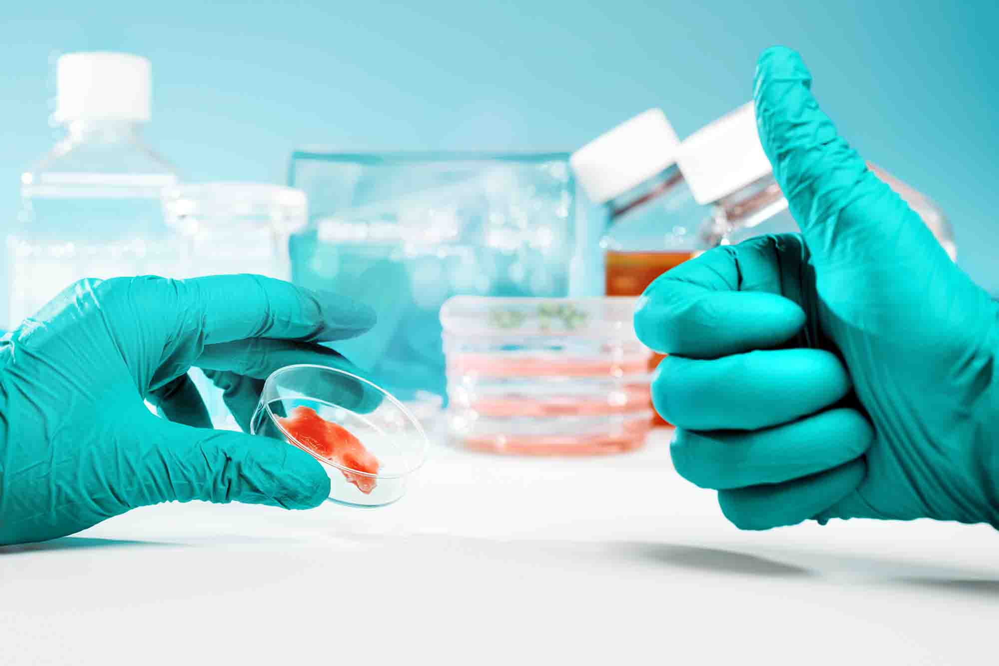 Sistema de gestión de la información de laboratorio