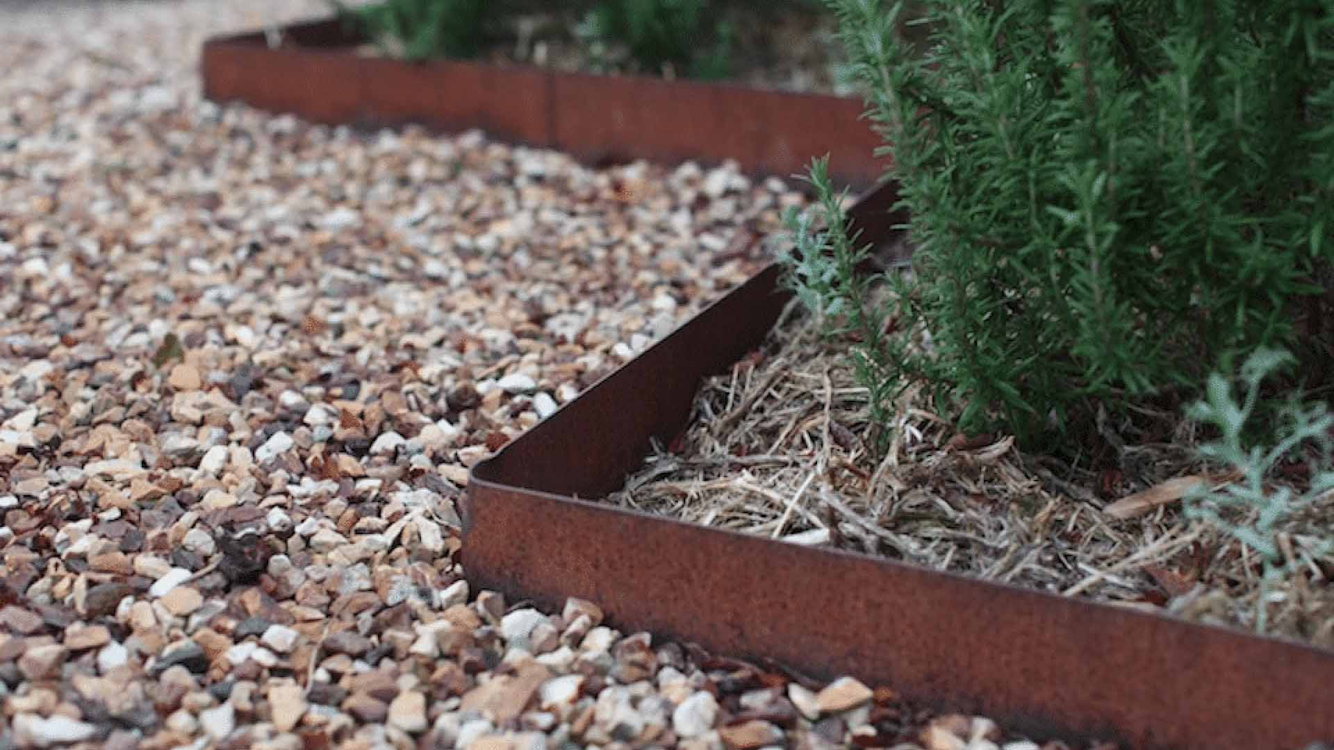 42 Facts About Western Red Cedar In Nature And Culture 44 OFF