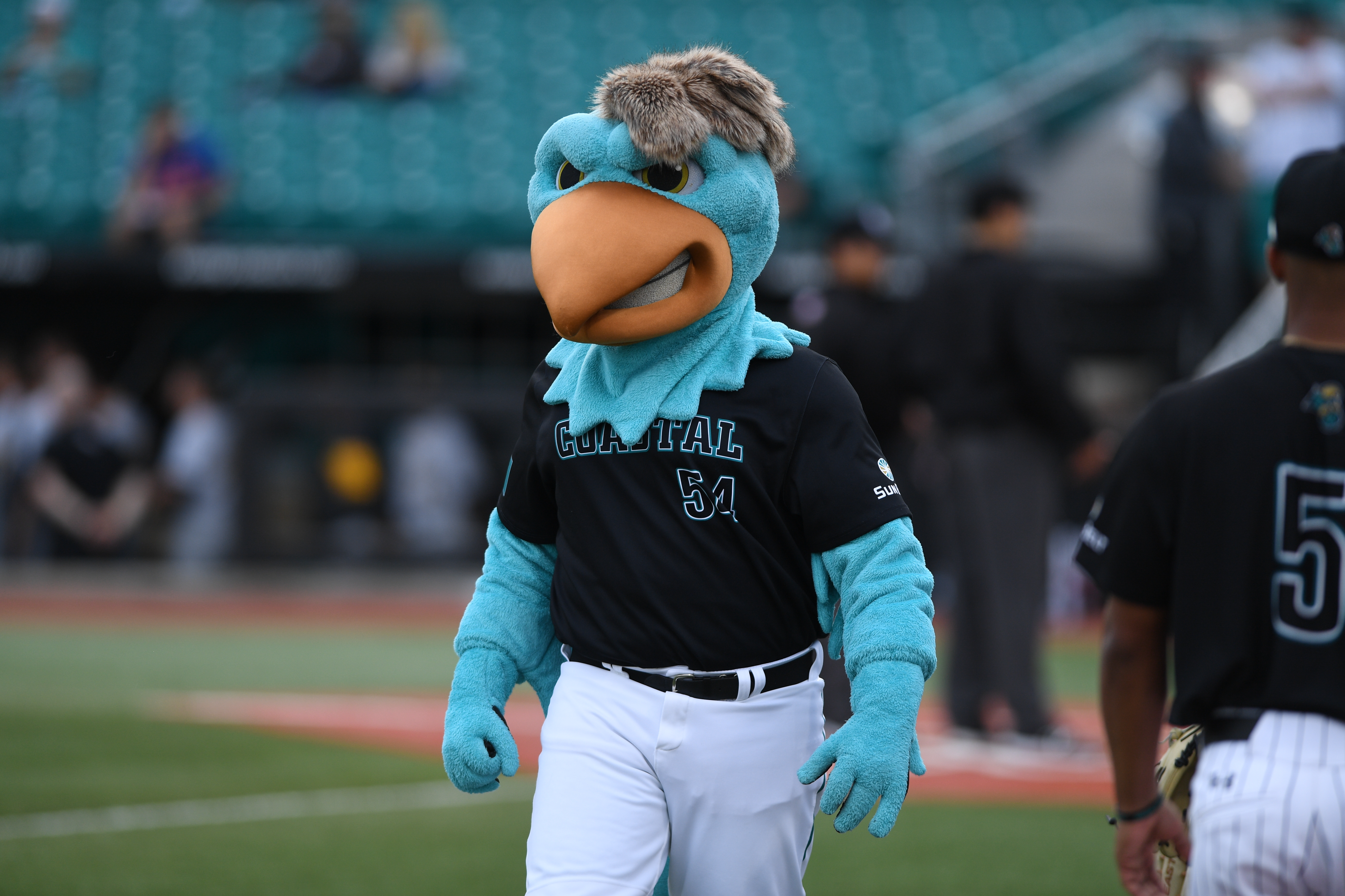 Chanticleers Summer Baseball Update - Coastal Carolina University