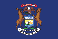 Michigan State Flag