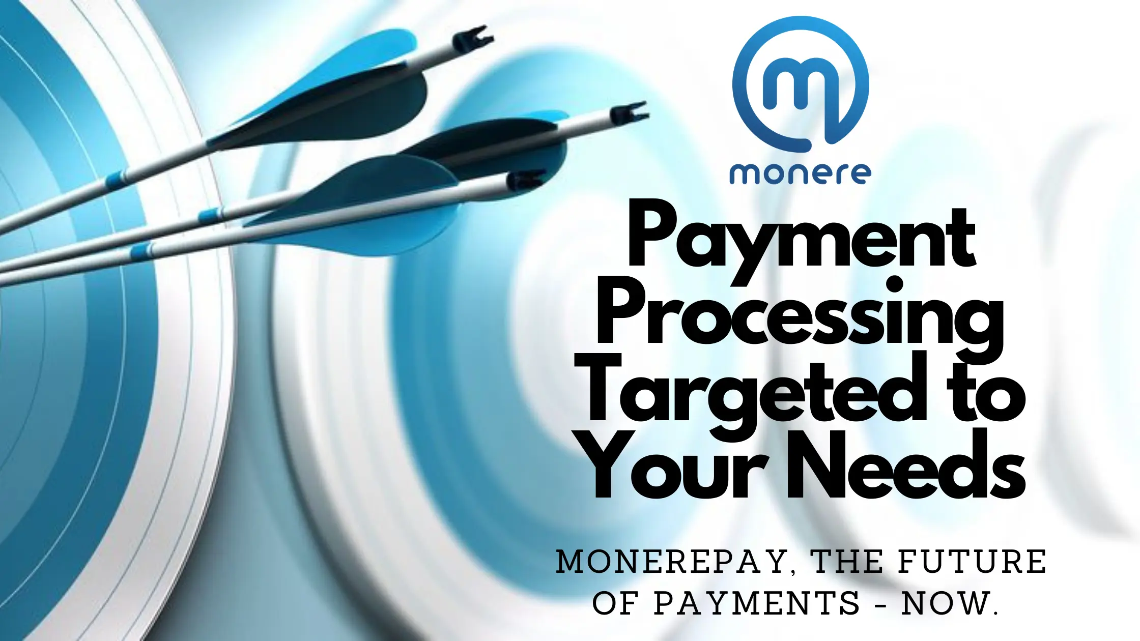 MonerePay | Payment Processing Answers