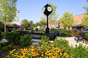 Baxter Town Center - Fort Mill, SC - Pedestrian Friendly New Urbanist Development