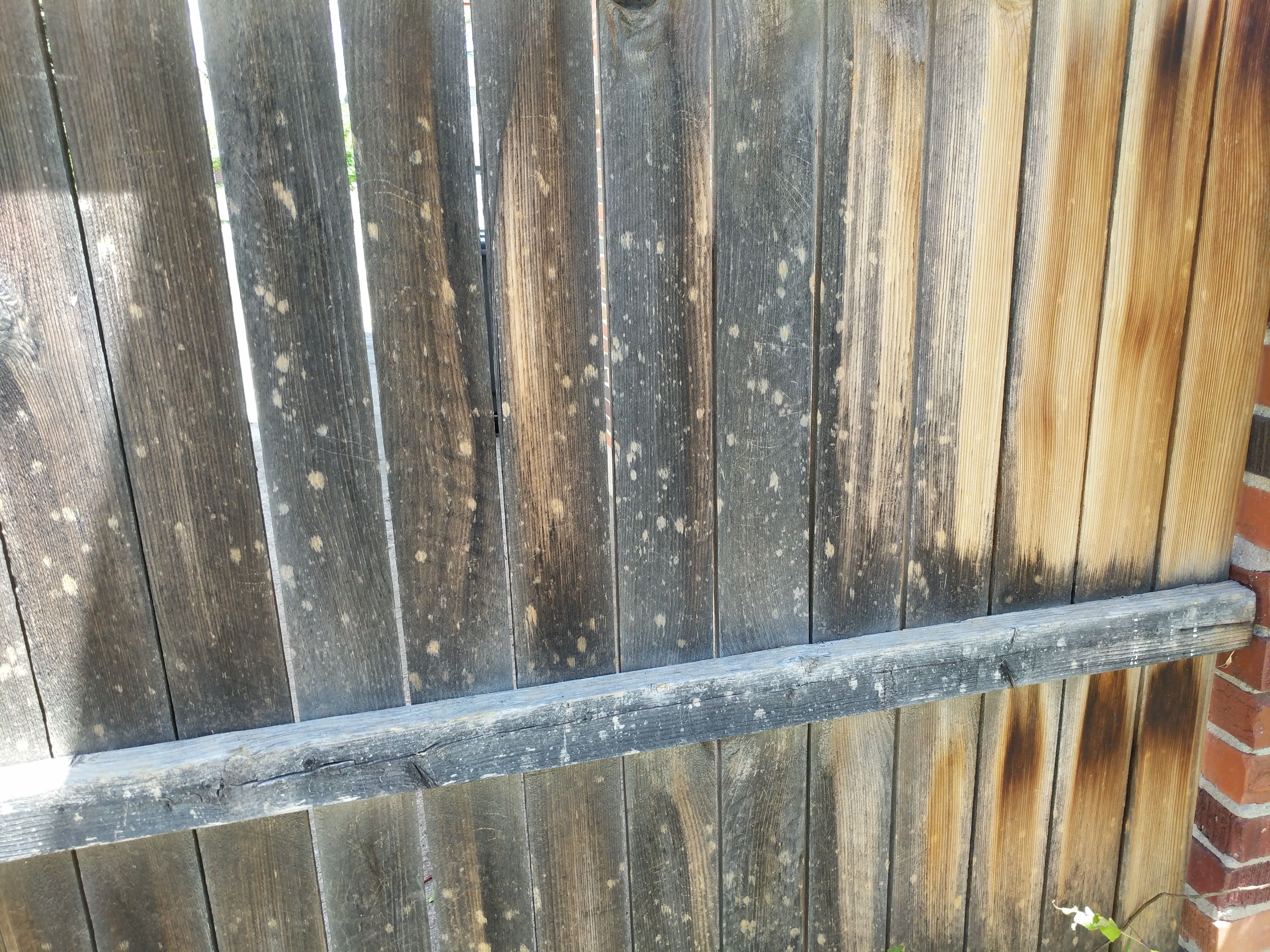 hail-damage-051818-3-fence