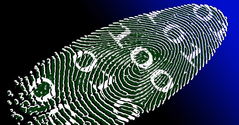 Virtual Fingerprint